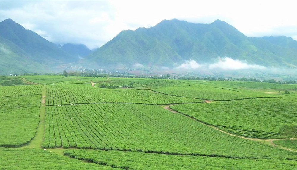 Lai Chau : 10 lieux d'exception préservés pour les passionnés de grands espaces